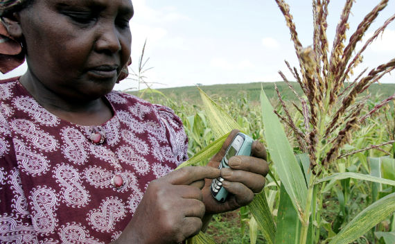 kenyan cell phone