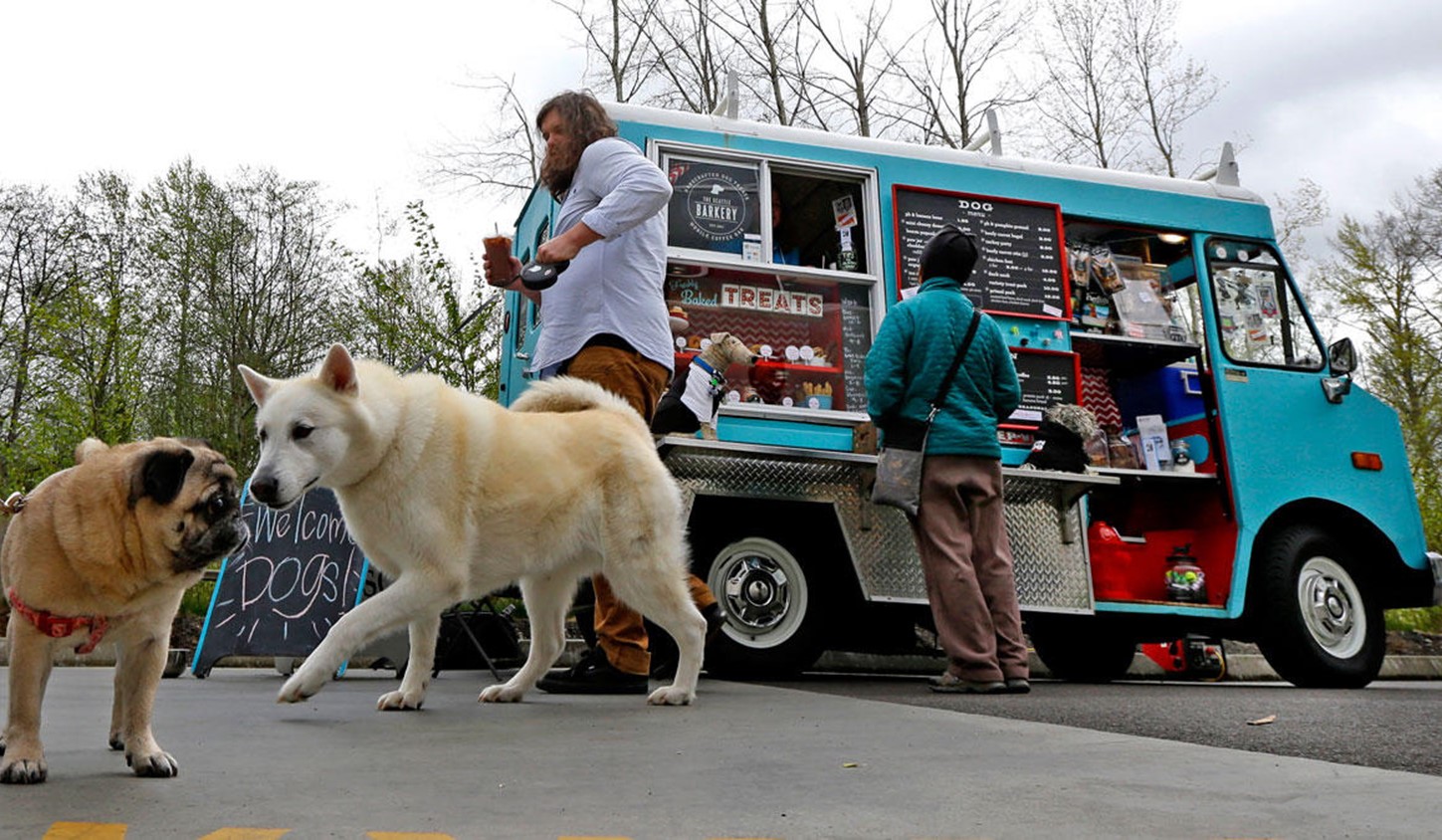 Like A Dog Chasing Food Trucks | Centives